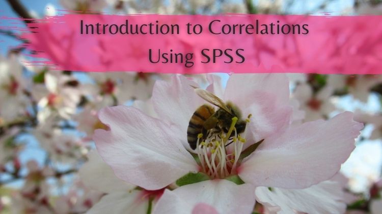 Introduction to Correlations Using SPSS SPSS11